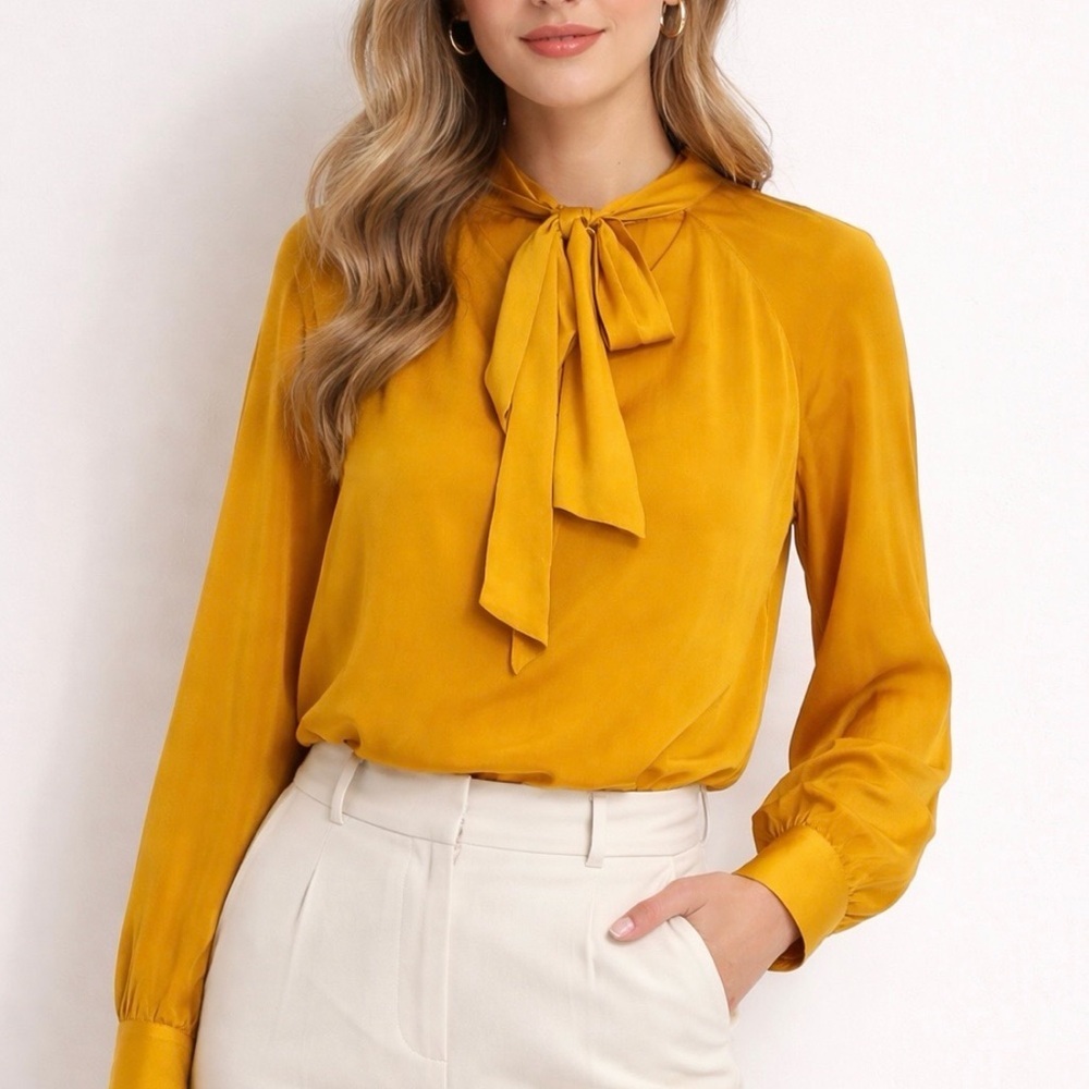 Zara Bow Tie Long Sleeve
